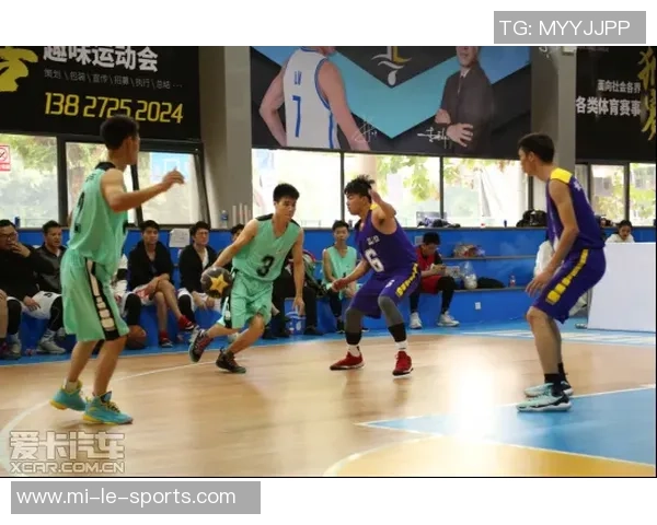 篮球鹤的优雅舞姿与竞技精神交融的奇妙旅程